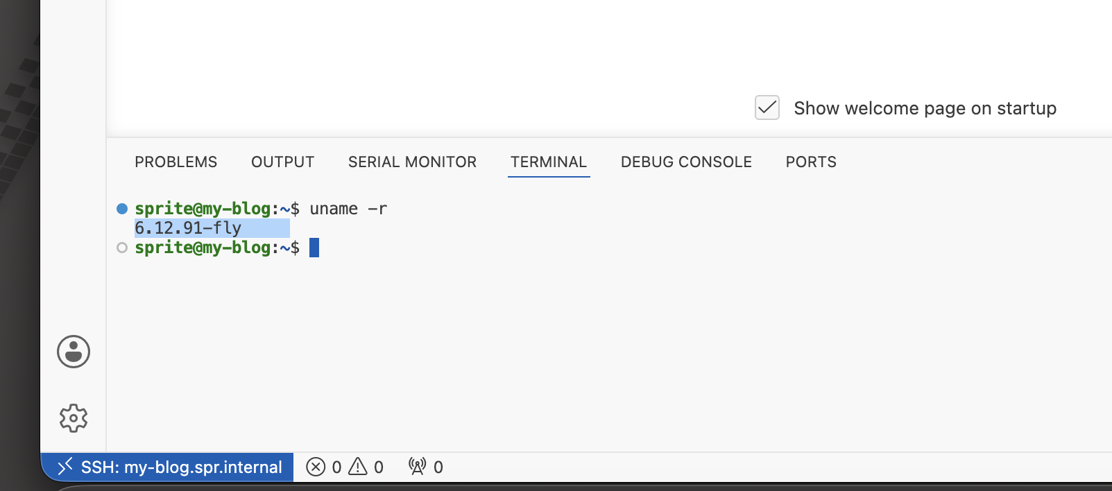 VSCode Screenshot showing Fly kernel